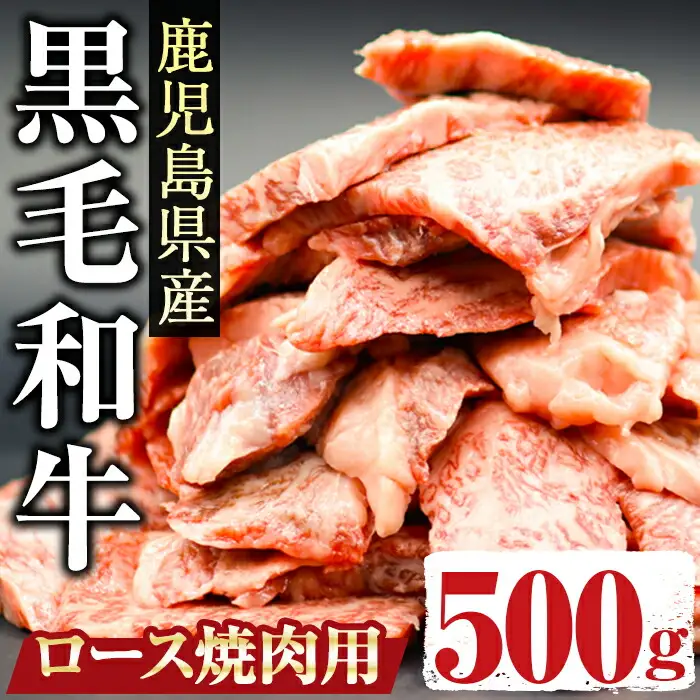 鹿児島県産 黒毛和牛 ロース 500g ( 焼肉用 カット ) 国産 牛肉 焼肉【アグリおおすみ】A288-v01