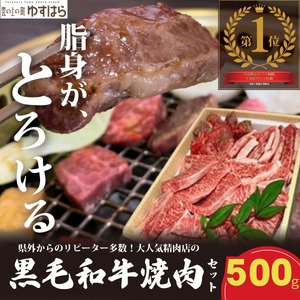 低温でも脂身がとろける梼原町産黒毛和牛 丸かじり焼肉セット（500g）【GA01】牛肉 焼肉 焼き肉 やきにく 国産 高知県産 冷凍便