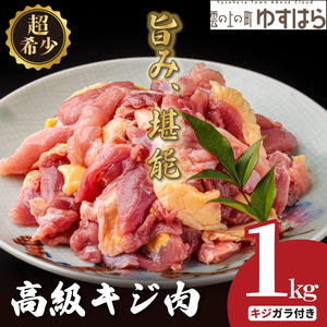 四万十川の源流域で育った自慢のキジ 高級キジ１kgセット 希少キジ肉/キジガラ（株式会社四万川雉生産部）【K001】高級食材 希少肉 高知県産 冷凍便