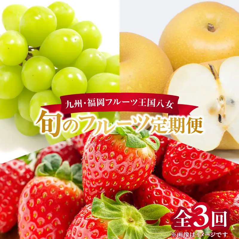 九州・福岡フルーツ王国八女 旬のフルーツ定期便【全3回】＜配送不可：北海道・沖縄・離島＞ フルーツ 定期便 あまおう シャインマスカット 梨 季節のフルーツ 果物 おすすめ セット 産地直送 福岡県 八女市 072-T008