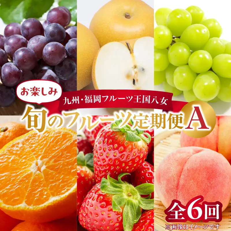 九州・福岡フルーツ王国八女　お楽しみ旬のフルーツ定期便【全６回】Ａ｜＜配送不可：北海道・沖縄・離島＞ いちご 苺 イチゴ あまおう 桃 もも モモ 葡萄 ぶどう 梨 シャインマスカット みかん 蜜柑 オレンジ 072-T011