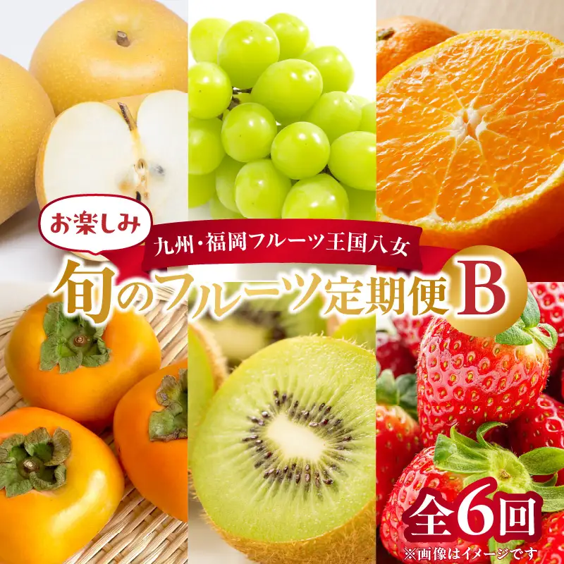 九州・福岡フルーツ王国八女　お楽しみ旬のフルーツ定期便【全６回】Ｂ｜＜配送不可：北海道・沖縄・離島＞ あまおう いちご 苺 イチゴ 梨 なし シャインマスカット みかん 柿 かき キウイ フルーツ 072-T012