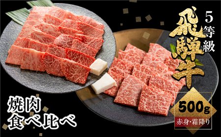飛騨牛ロース・うでもも食べ比べセット(焼肉)　計500g 焼き肉 BBQ 国産牛 国産 牛肉 肉 厳選 熟成 贈答用［Q880］