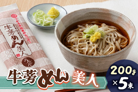 牛蒡めん美人 1箱 [0378]