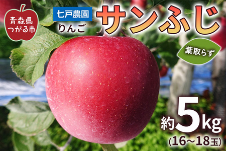 りんご サンふじ 葉取らず 約5kg(16から18玉) 青森産 つがる市【2026年11月下旬より順次発送】 [0831]