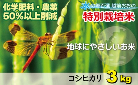 【令和7年産】こしひかり（福井県大野市産）福井県特別栽培米 3kg【白米】 [A-003003]