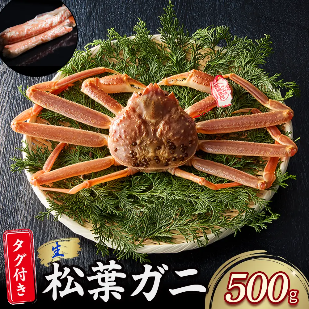 【先行予約】【魚倉】タグ付き 生 松葉ガニ （500g） かに 蟹 カニ