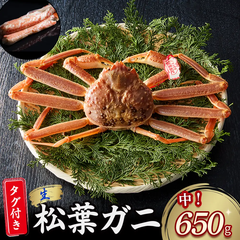【先行予約】【魚倉】タグ付き 生 松葉ガニ （中650g） かに 蟹 カニ