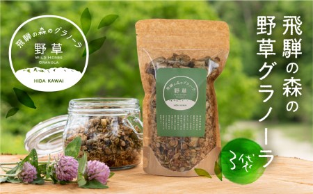 飛騨産野草が入った飛騨の森の グラノーラ　3袋 オートミール 無添加 シリアル 自然派 ハトムギ［Q858x］
