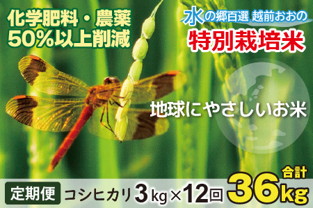 【令和7年産】【12ヶ月定期便】こしひかり 3kg × 12回 計 36kg【白米】減農薬・減化学肥料「特別栽培米」－地球にやさしいお米－[E-003001]