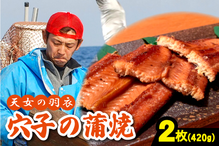 あなご 蒲焼 2枚 合計420g 天女の羽衣【合計420g 穴子蒲焼き 魚介類 魚 穴子 アナゴ 蒲焼き 仕込み醤油 タレ付き 山椒付き 新鮮 冷凍 真空パック 贈答 ギフト 父の日 母の日】