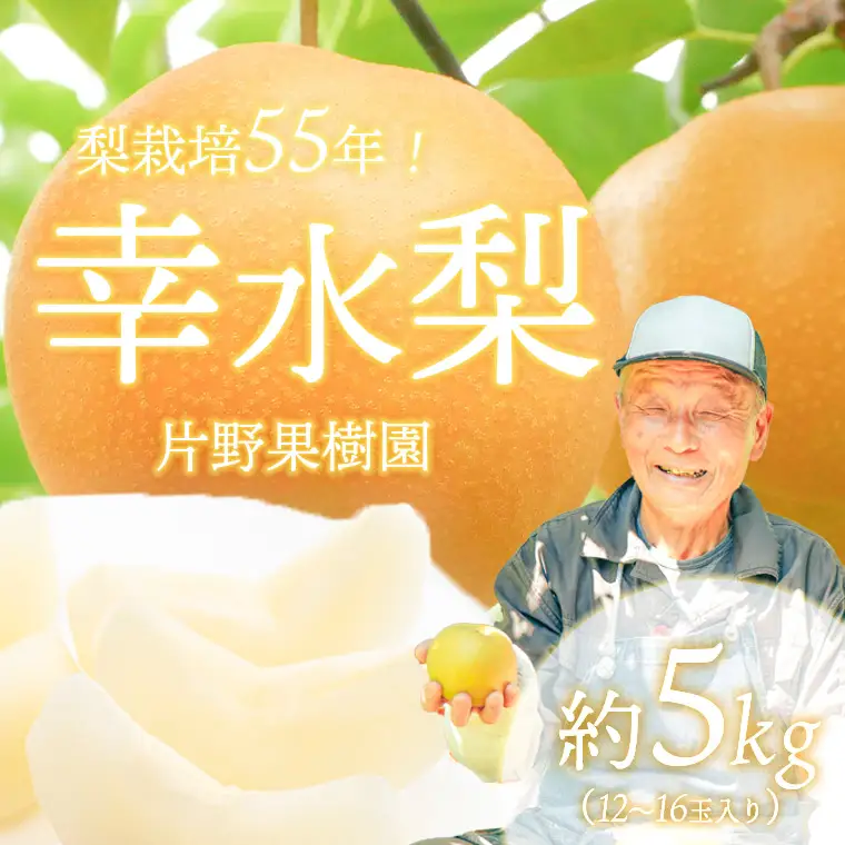 幸水梨 約5kg 08月上旬発送  梨 先行受付