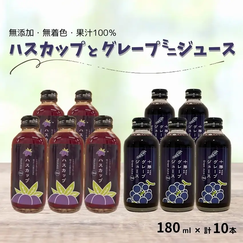 高評価5.0 北海道 ぶどうとハスカップのミニジュース10本 ジュース ぶどう 無添加ジュース 果汁100%ジュース 国産ジュース ストレート 無添加 ブドウ