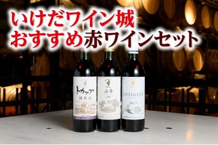 十勝ワイン いけだワイン城おすすめ赤ワインセット3本 山幸 ツバイゲルト 樽熟成 赤ワイン 北海道ワイン 北海道池田町