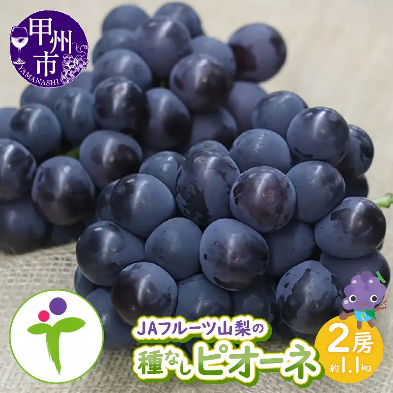JAフルーツ山梨 甲州市産種なしピオーネ2房【80】【2026年発送】B-105 ピオーネ フルーツ