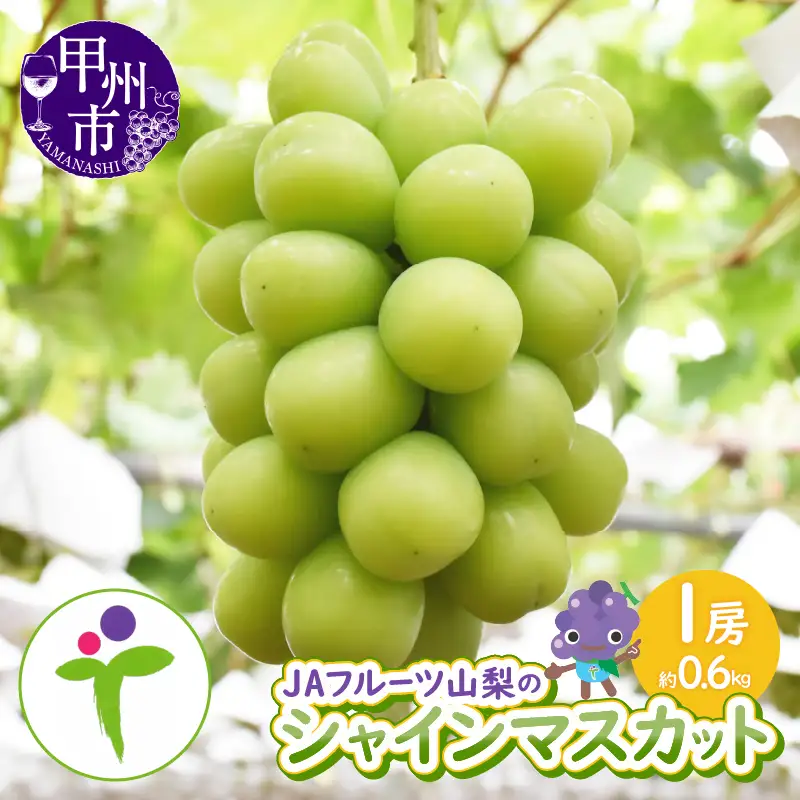 JAフルーツ山梨 甲州市産シャインマスカット 1房【60】【2026年発送】B-107 シャインマスカット フルーツ