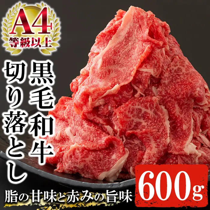 黒毛和牛 牛肉 切り落とし 約600g（300g×2P） 牛肉 切り落とし【00-030-11】