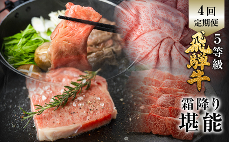 飛騨牛 霜降り堪能 4回定期便 しゃぶしゃぶ ステーキ 焼肉 すき焼き 肉の沖村 牛肉 肉 御中元 お中元 お歳暮[Q956]