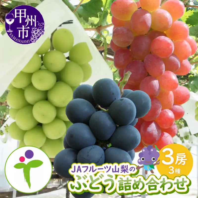 JAフルーツ山梨 甲州市産ぶどう詰め合わせ3房【80】【2026年発送】B2-103 シャインマスカット 種なし巨峰 甲斐路 フルーツ