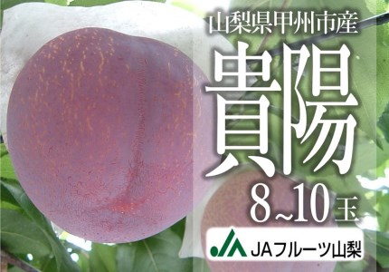 JAフルーツ山梨 甲州市産 貴陽 8～10玉 【80】【2026年発送】B2-105 すもも フルーツ