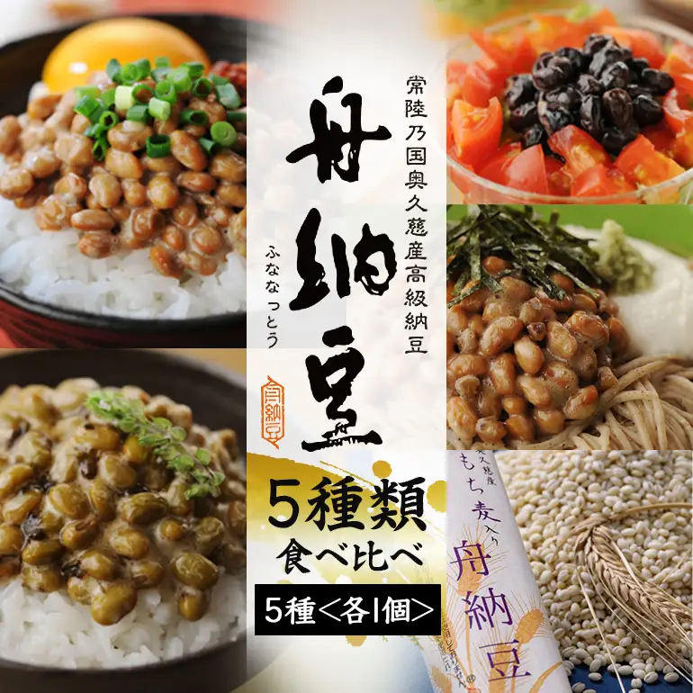 舟納豆  ふるさと便り 5本 セット【納豆】【ho1228】