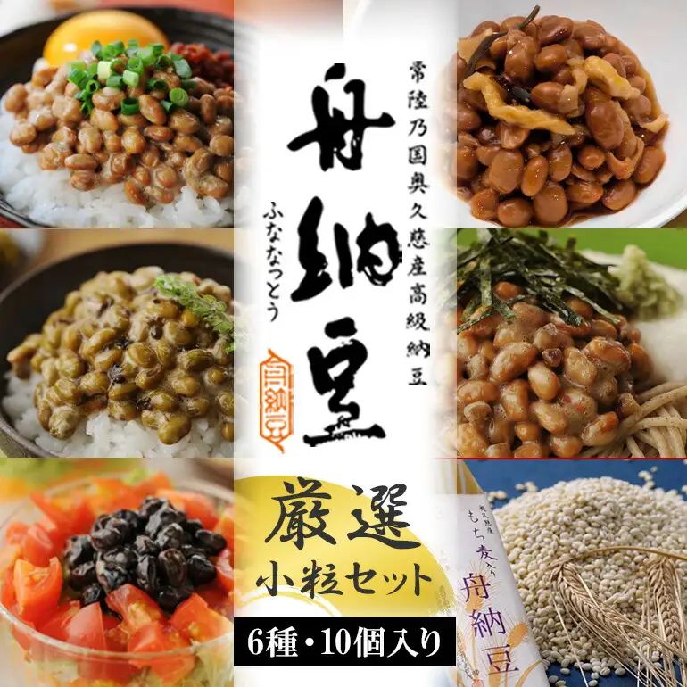 舟納豆 厳選小粒セット 10個 食べ比べ 【納豆】 【ho1229】