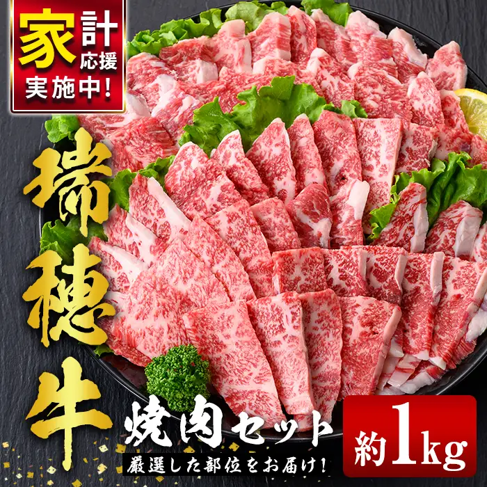 焼肉 セット 約1kg 瑞穂牛 牛肉 国産 【焼肉】【ho0903-1】