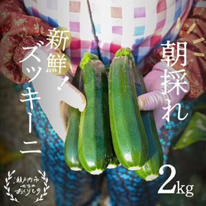 瀬戸内 牛窓産 ズッキーニ 約2kg（12本前後）ズッキーニ