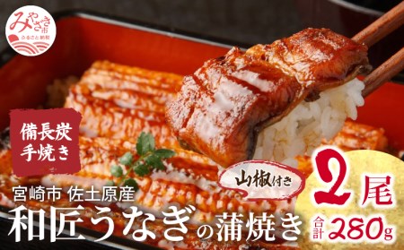 うなぎ 蒲焼 うなぎ[国産 2尾 和匠 備長炭手焼き 280g]
