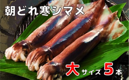 朝どれ寒シマメ大サイズセット（250-300ｇ×5）CAS CAS冷凍 父の日 母の日 バーベキュー ギフト