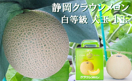 クラウンメロン【並（白等級）】大玉（1.4kg前後）1玉入り 人気 厳選 ギフト 贈り物 デザート グルメ 果物 袋井市 果物類 メロン青肉 フルーツ