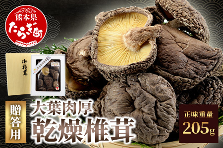農林水産大臣賞 受賞 槻木 大葉厚肉 乾燥椎茸 205g 026-0025