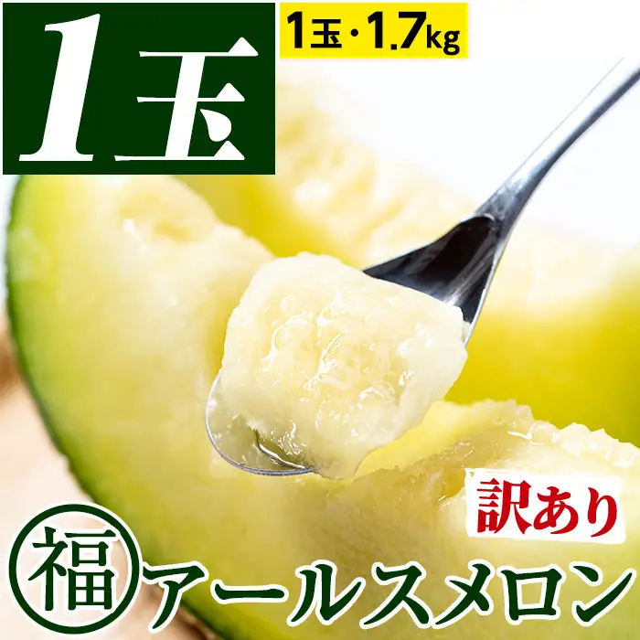 訳あり アールスメロン 1玉 (1.7kg) 家庭用 フルーツ 果物 果実 数量限定 期間限定 【マル福園芸組合】【0111109a】