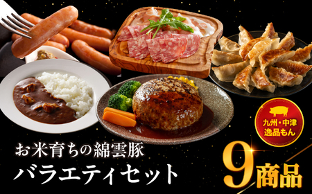 お米育ちの錦雲豚バラエティギフト ハム類・餃子・ハンバーグ・カレー セット | お肉 肉 おにく 豚肉 錦雲豚 ブランド豚 ハム 餃子 ハンバーグ カレー 詰め合わせ 惣菜 九州産 大分県産 国産 冷凍 大分県 中津市