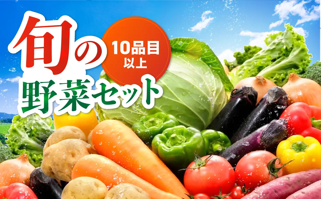 【JA直売所直送】春夏秋冬野菜セット | 野菜 やさい ヤサイ セット 旬 産地直送 大分県産 10～15品 国産野菜 大分県 中津市