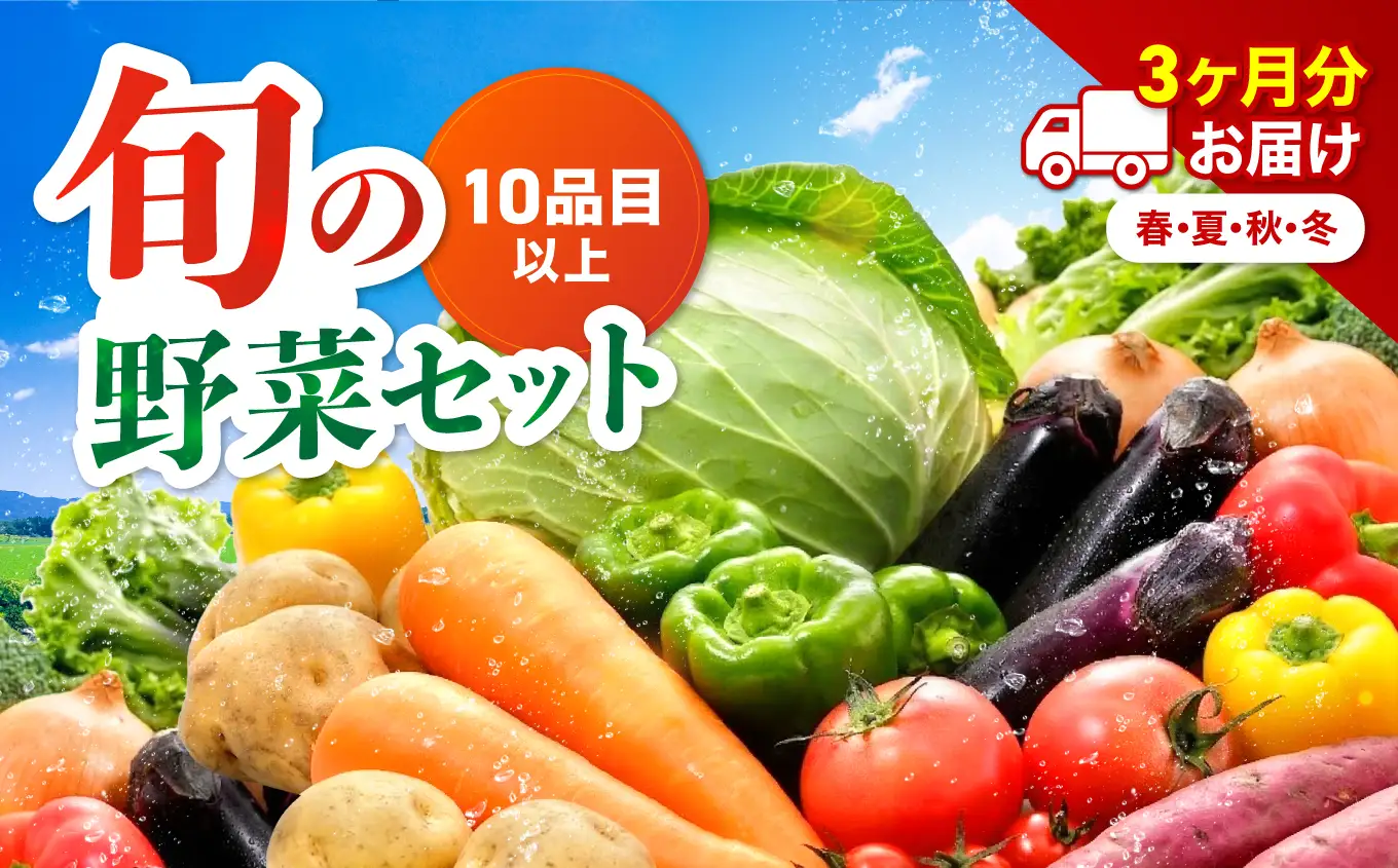 【定期便3回】【JA直売所直送】春夏秋冬野菜セット | 毎月届く 旬野菜 野菜 やさい ヤサイ 旬 国産 国産野菜 定期 定期便 3回 大分県 中津市