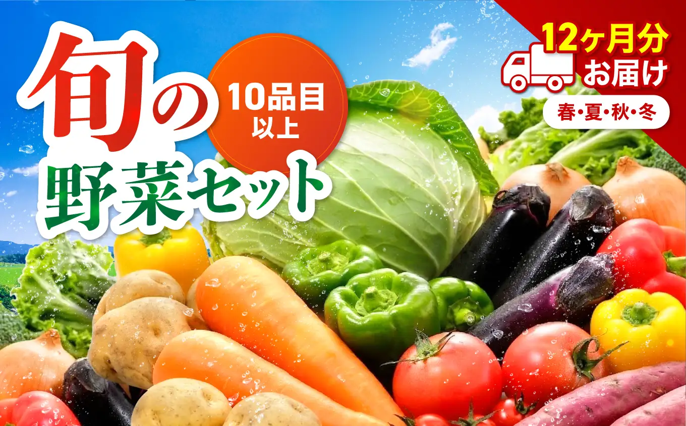 【定期便12回】【JA直売所直送】春夏秋冬野菜セット | 毎月届く 旬野菜 野菜 やさい ヤサイ 旬 セット 国産 国産野菜 定期 定期便 12回 大分県 中津市
