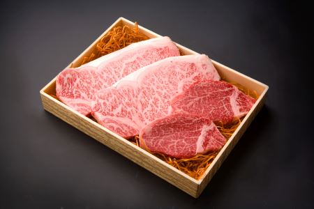 豊後牛 サーロイン180g×2枚・ヒレステーキ130g×2枚 セット | お肉 肉 おにく にく 牛 牛肉 国産牛 和牛 サーロイン ヒレ ステーキ ブランド牛 国産 大分県産 冷凍 送料無料 大分県 中津市