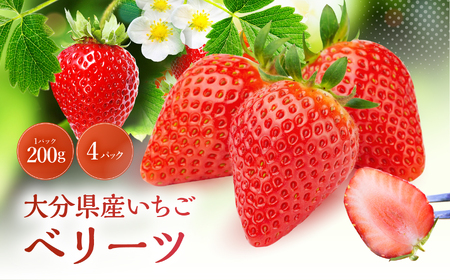 【先行予約】大分県ブランド いちご ベリーツ 約 800g ( 200g×4パック ) | 苺 イチゴ いちご ベリー フルーツ 果物 くだもの 大分県産 産地直送 九州産 国産 大分県 中津市