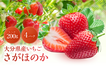【先行予約】大分県産いちご さがほのか 約 800g ( 200g×4パック ) | 苺 イチゴ いちご ベリー フルーツ 果物 くだもの 九州産 大分県産 国産 産地直送 大分県 中津市