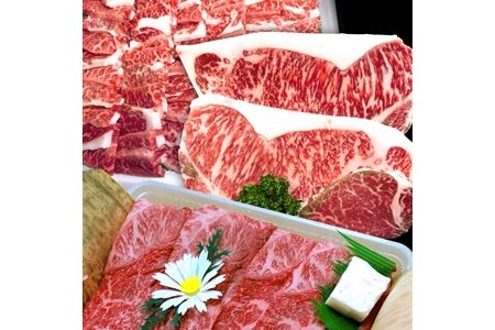 おおいた和牛味わい堪能セット 1.35kg | お肉 肉 にく 和牛 牛肉 すき焼き肉 焼き肉 スライス カルビ ロース ヒレステーキ肉 大分県産 九州産 豊国畜産ぶんごや 国産 大分県 中津市