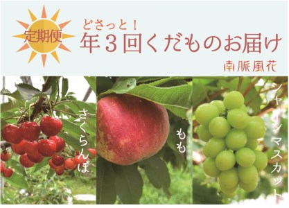 【先行予約】【大人気フルーツ】年3回くだもの定期便セットB（さくらんぼ、桃、シャインマスカット）　 ALPAJ013
