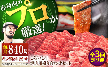 【3回定期便】 焼肉用盛り合わせセット（希少部位）各回840g / 牛肉盛り合せ [IAH047]
