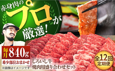【12回定期便】 焼肉用盛り合わせセット（希少部位）各回840g / 牛肉盛り合せ [IAH048]