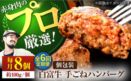 【6回定期便】手ごねハンバーグ8個 / ハンバーグ [IAH055]