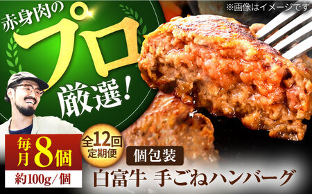 【12回定期便】手ごねハンバーグ8個 / ハンバーグ [IAH056]