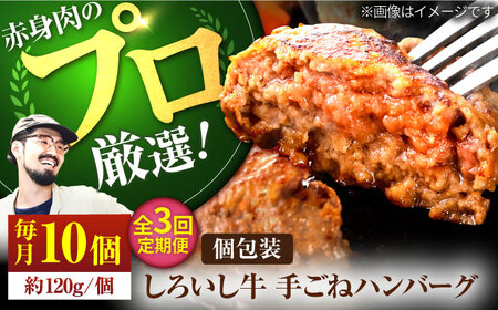 【3回定期便】手ごねハンバーグ10個 / ハンバーグ [IAH057]