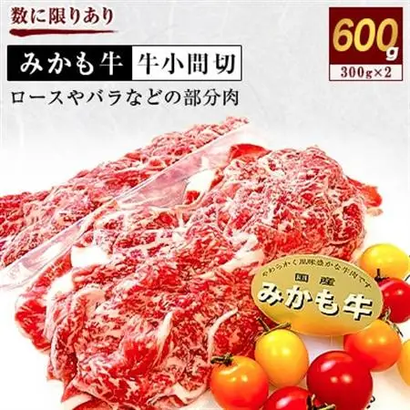 「みかも牛」牛小間切600g(300g×2)_肉 牛肉  うし ビーフ_【配送不可地域：離島】【1257310】