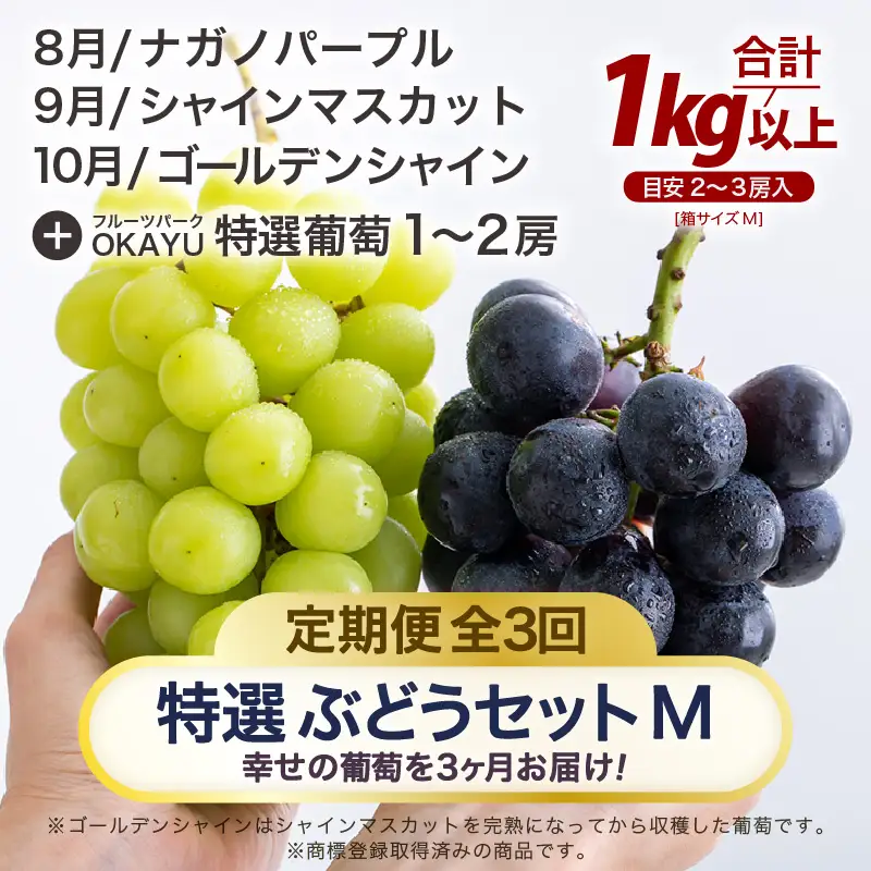 【先行予約】【訳あり】＜全3回定期便＞特選 ぶどうセットM（8月・9月・10月）1kg以上（各月2～3房）／ 葡萄 ナガノパープル シャインマスカット ゴールデン シャイン 品種 おまかせ あわら 農家おすすめ ※2026年8月より順次発送 [aw007-d001]