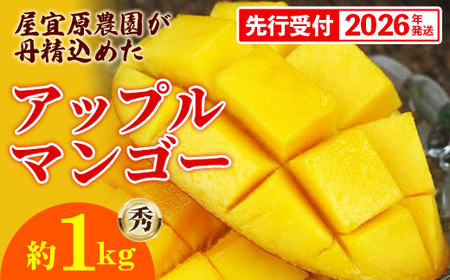 【先行受付】【2026年発送】屋宜原農園が丹精込めた「アップルマンゴー」秀約1kg - 先行予約 沖縄県産 産地直送 南国フルーツ 旬の味覚 旬のフルーツ 贈り物 ギフト 沖縄県 八重瀬町